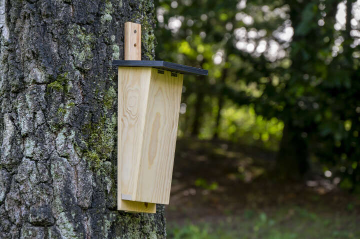 dobar Baumläufernistkasten